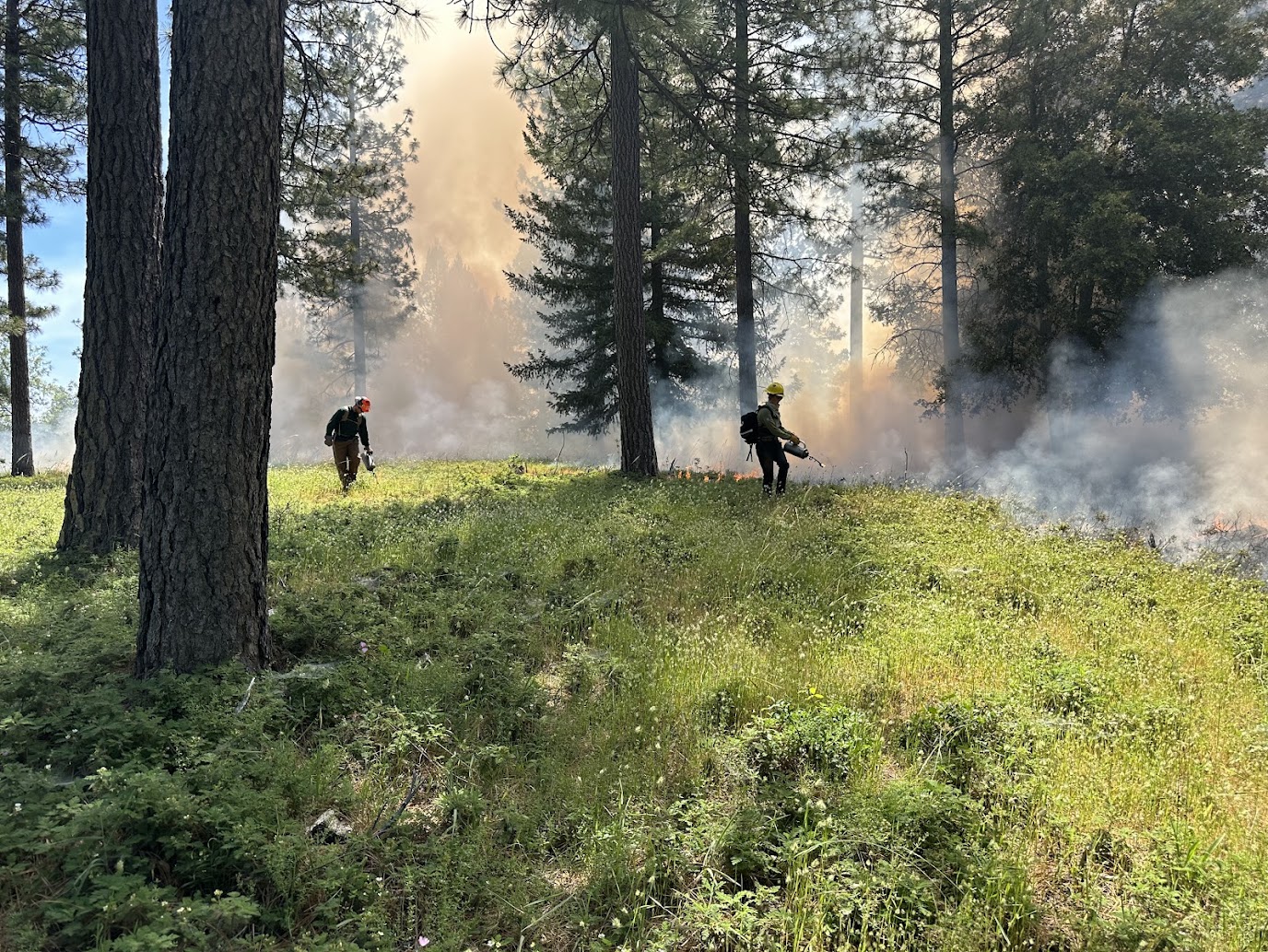 FROM GRANTS TO GROUND: DELIVERING REAL RESULTS