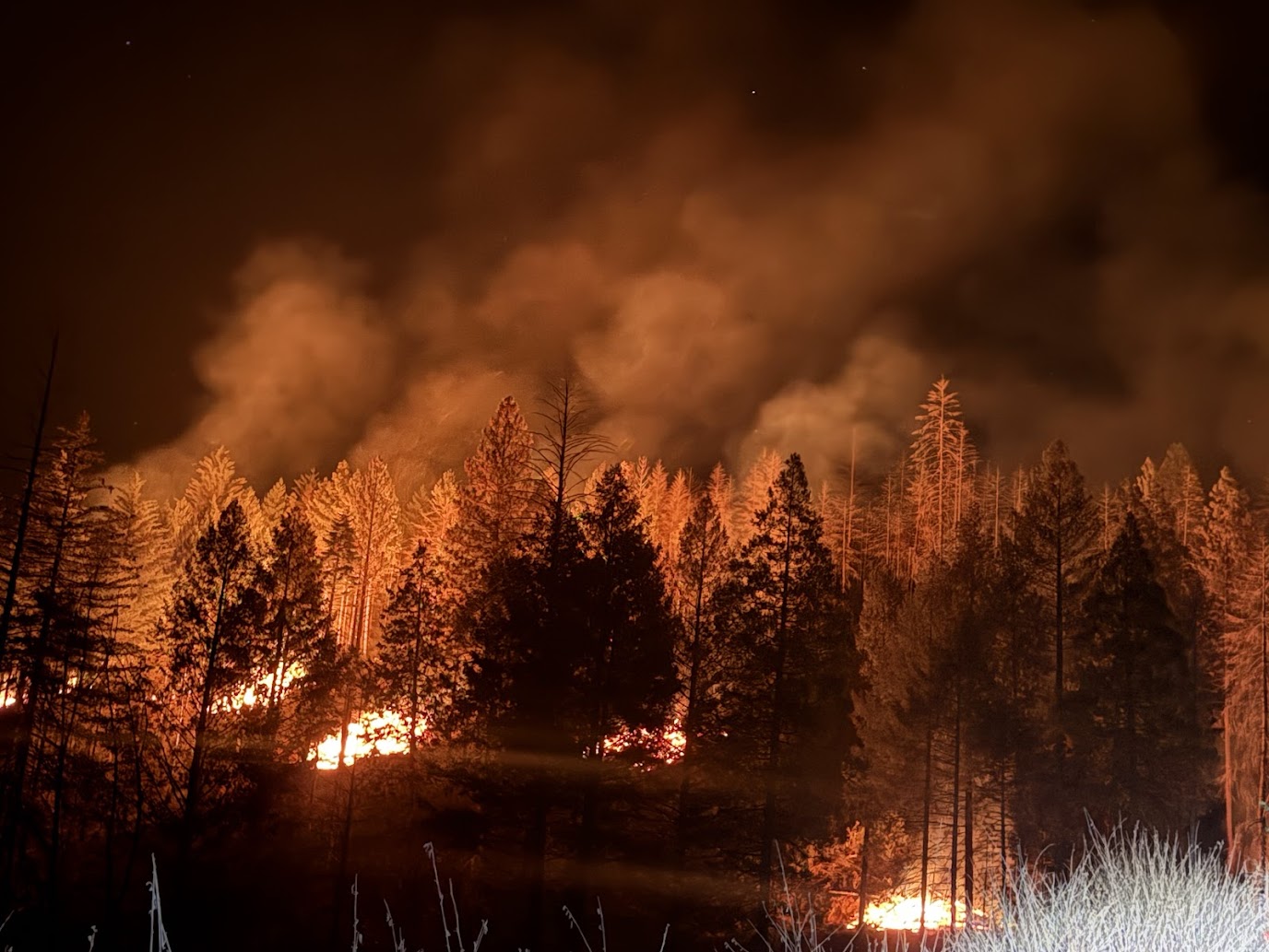 PROTECTION THROUGH COMMUNITY BURNING