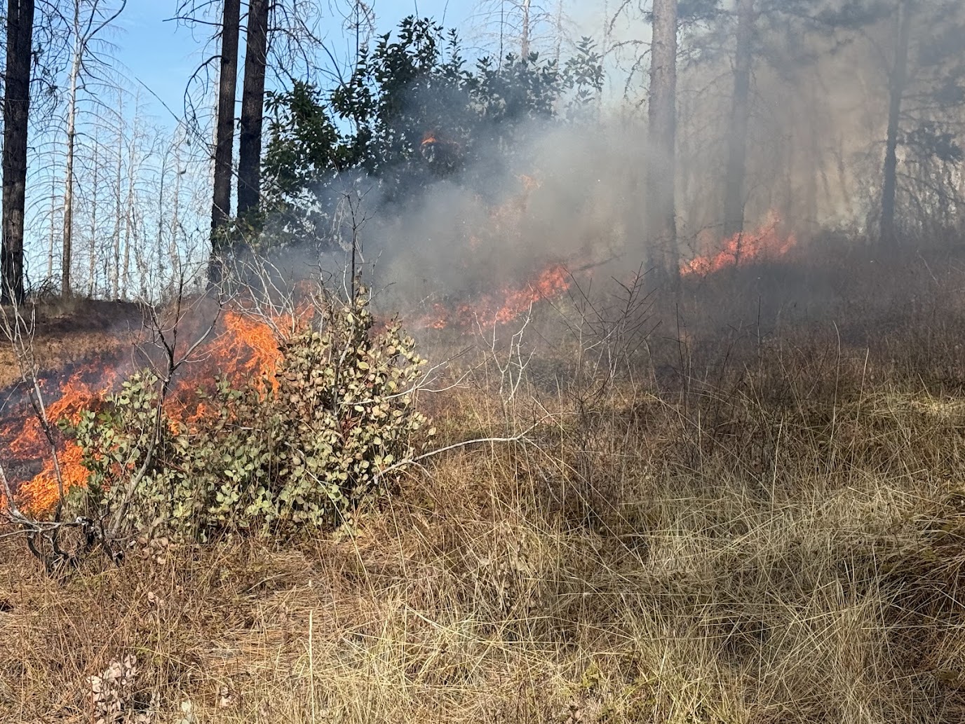 HOW THE PBA HELPS YOU PREPARE FOR WILDFIRE