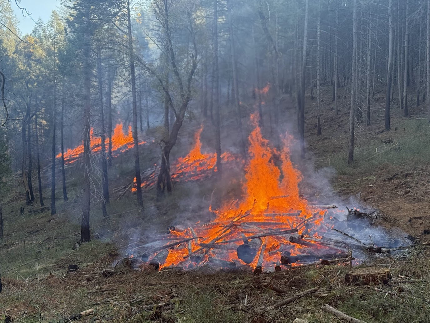 FROM RECOVERY TO RESILIENCE: AFTER THE CALDOR FIRE