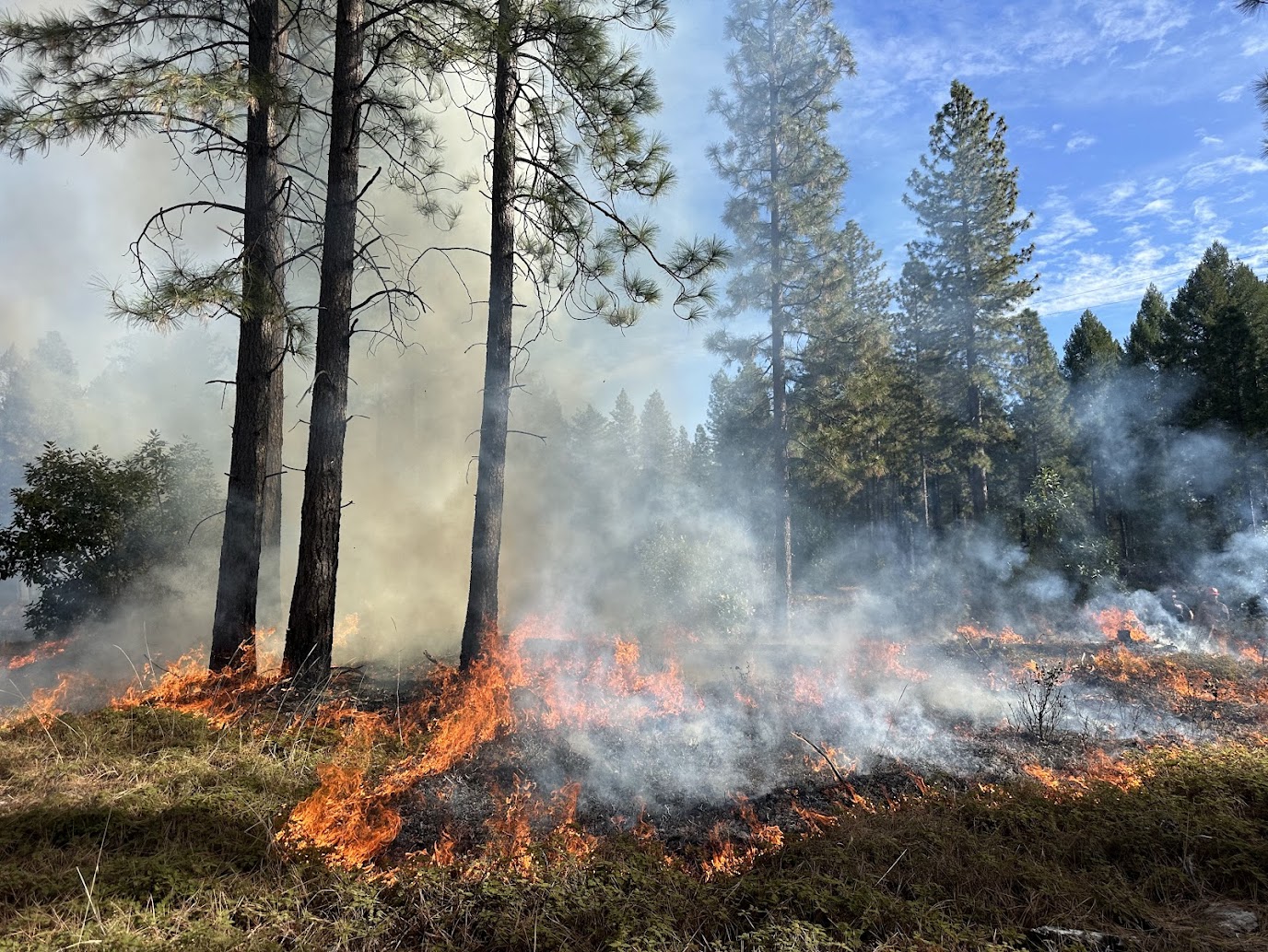 THE POWER OF GOOD FIRE