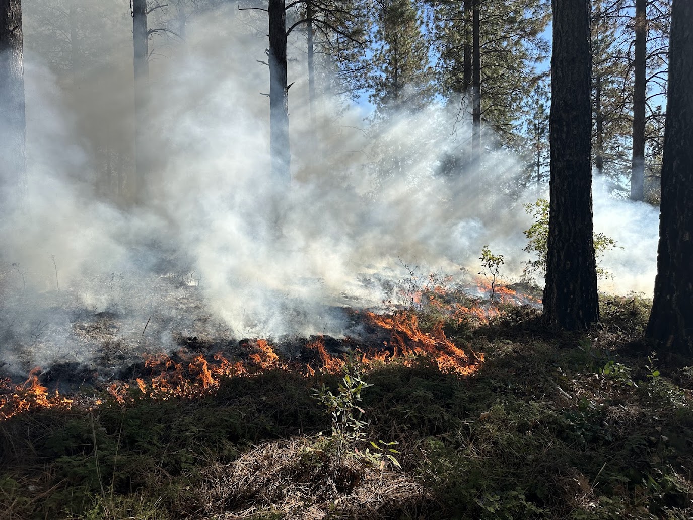 A LOCAL APPROACH THAT DELIVERS