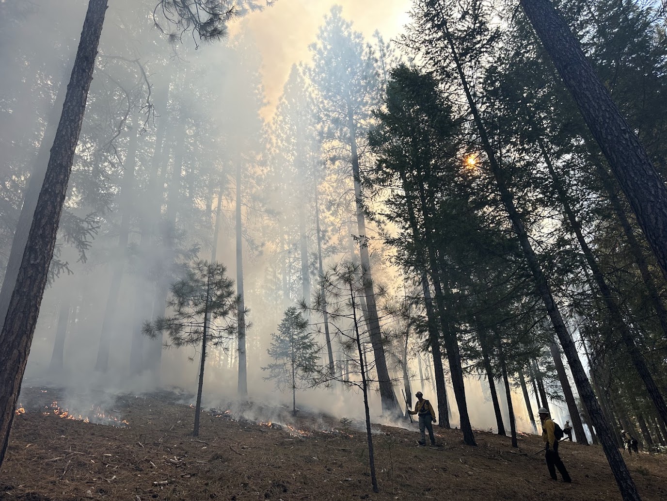 GROWING A COMMUNITY FIRE WORKFORCE